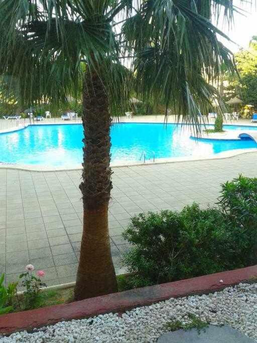 Piso Moderno Con Piscina Siesta 2 Apartment Port de Alcudia  Exterior foto